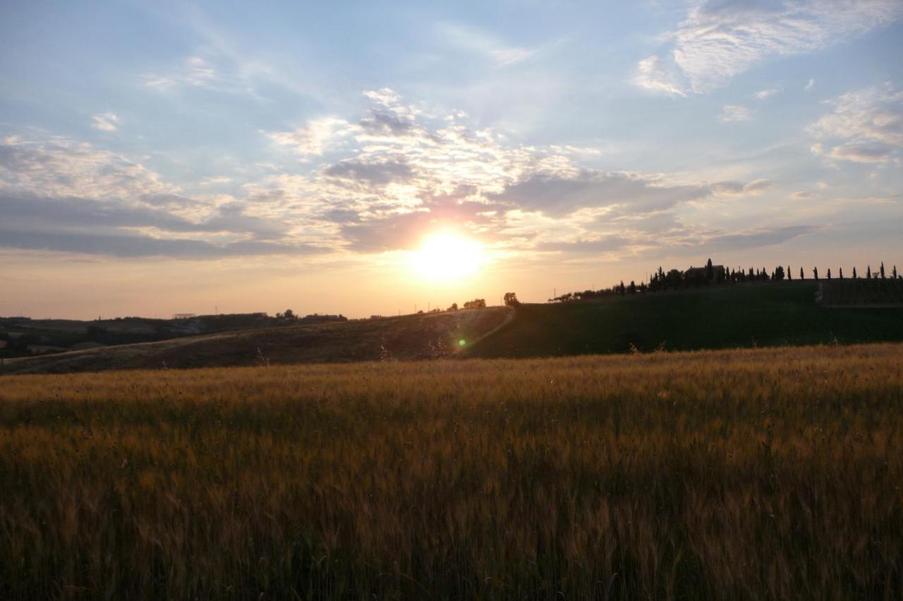 Poggio Ai Gelsi Villa Pienza Eksteriør bilde