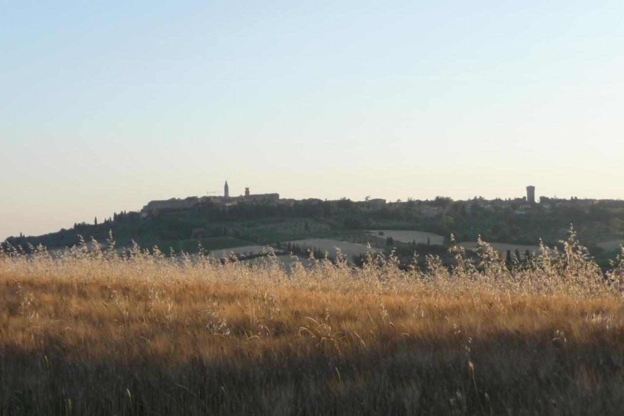 Poggio Ai Gelsi Villa Pienza Eksteriør bilde